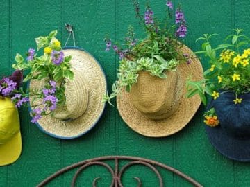 hat-planter-hanging