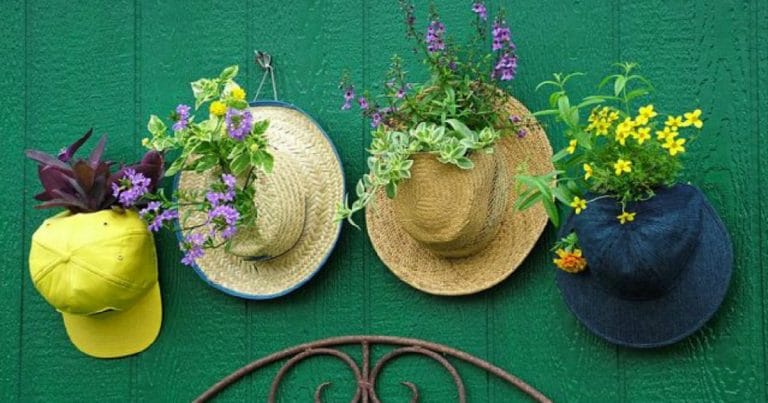 hat-planter-hanging