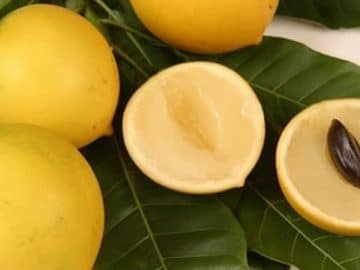 imgonline-com-ua-Resize-4axL5lNA6cq4ri3