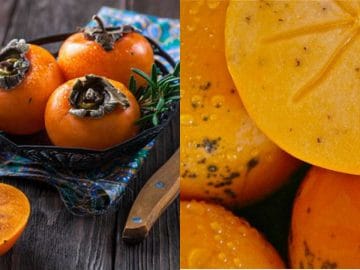 persimmon-1914127__340лл