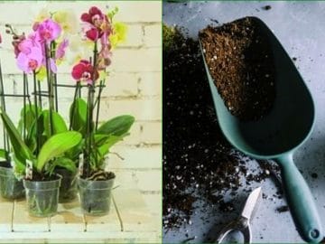 Untitled collage 19112018 Untitled collage