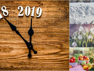 обложка 24122018 обложка