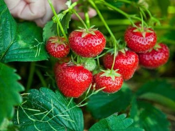 12 MjAxMDA3MDItMDA2Mi1FZGl0LmpwZw== 12012019 12 MjAxMDA3MDItMDA2Mi1FZGl0LmpwZw==