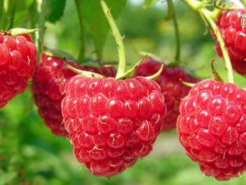 1550045658-qg1bw 13022019 1550045658-qg1bw