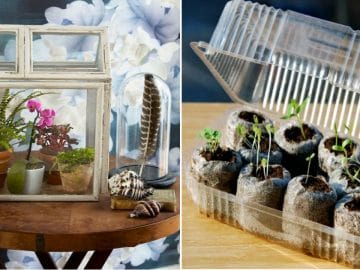 Diy-greenhouse8 05122018 Diy-greenhouse8