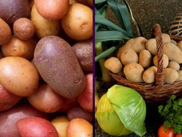 potatoes-522486__340 04122018 potatoes-522486__340