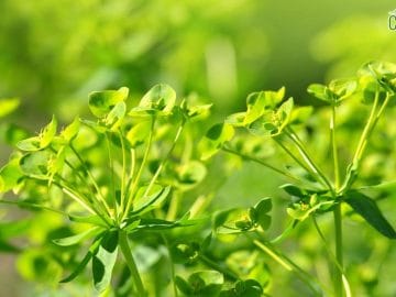 1551002889-hdegu 24022019 1551002889-hdegu