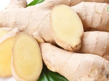 Fresh ginger with leaves isolated on white background. 27022019 Fresh ginger with leaves isolated on white background.