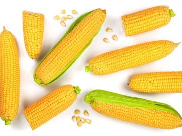 shutterstock_1186072120 03012019 shutterstock_1186072120