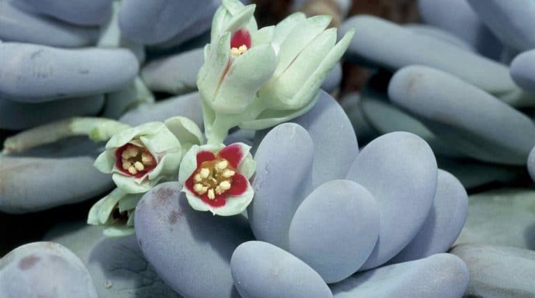 обложка 02022019 обложка