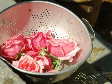 rose-petal-jam