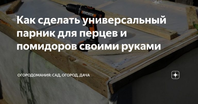 101327_76597.jpg 30072019 101327_76597.jpg