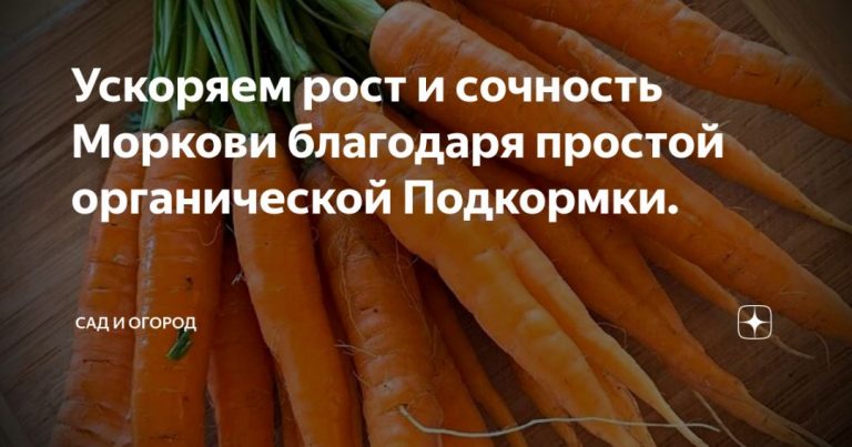 101941_24180.jpg 30072019 101941_24180.jpg