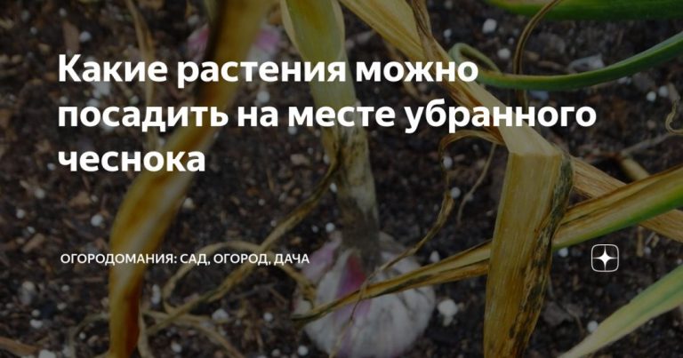 103018_27502.jpg 30072019 103018_27502.jpg