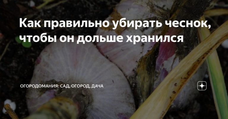 121466_77578.jpg 31072019 121466_77578.jpg