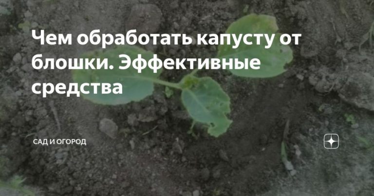 70968_87759.jpg 24072019 70968_87759.jpg