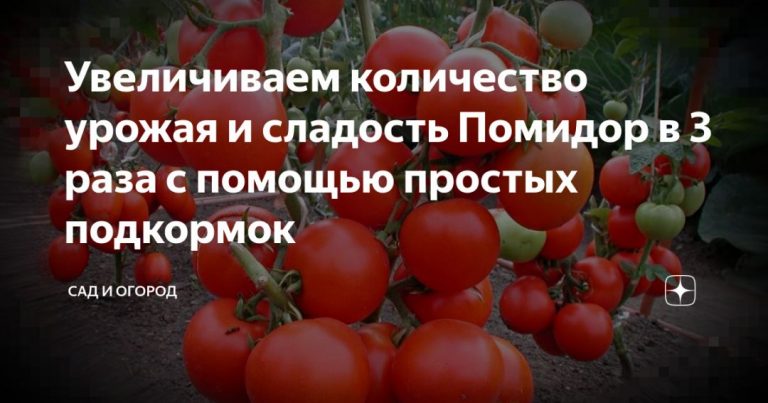 70996_95291.jpg 24072019 70996_95291.jpg