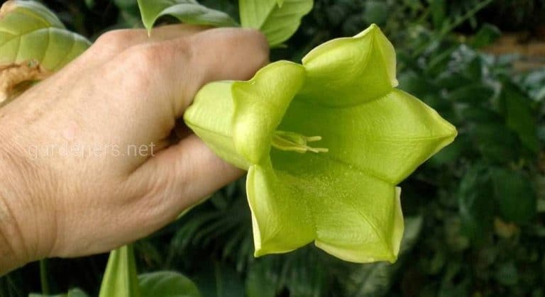 85653_4869.jpg 29072019 85653_4869.jpg