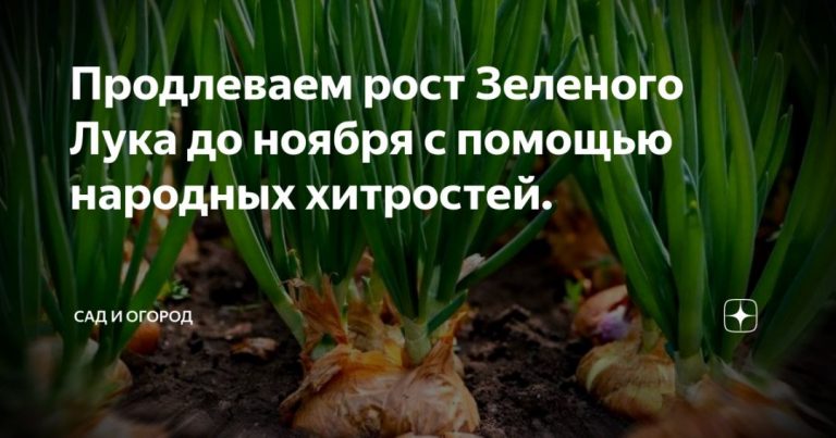 85687_33445.jpg 29072019 85687_33445.jpg