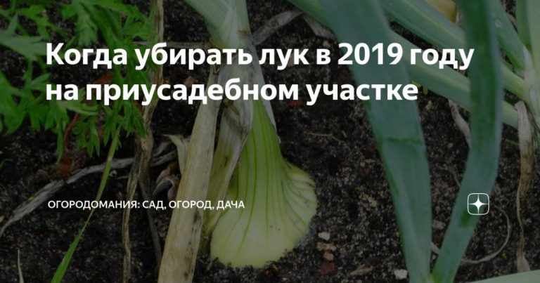 90877_44391.jpg 29072019 90877_44391.jpg