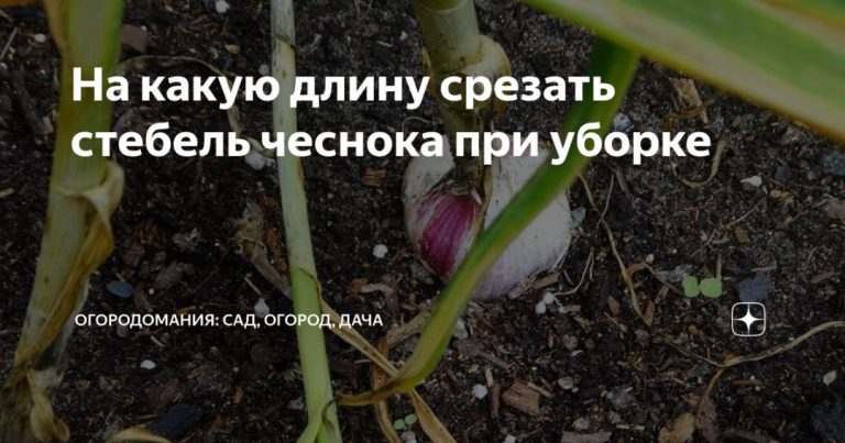 94391_49927.jpg 29072019 94391_49927.jpg