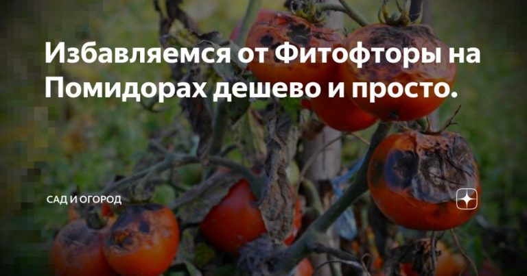 98133_61171.jpg 30072019 98133_61171.jpg