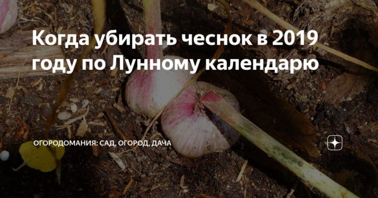 143504_59746.jpg 01082019 143504_59746.jpg