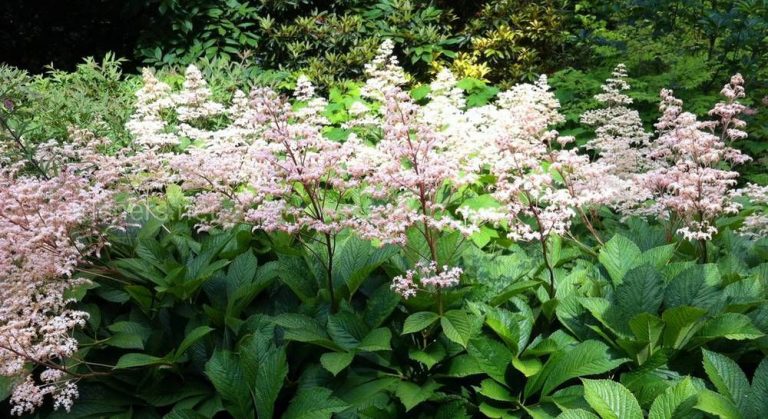 180217_3954.jpg 30082019 180217_3954.jpg