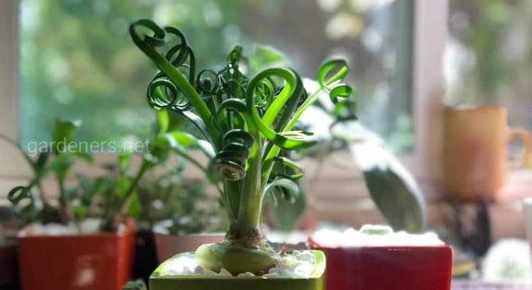 180248_71949.jpg 30082019 180248_71949.jpg