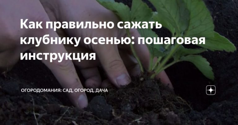 180353_72999.jpg 30082019 180353_72999.jpg