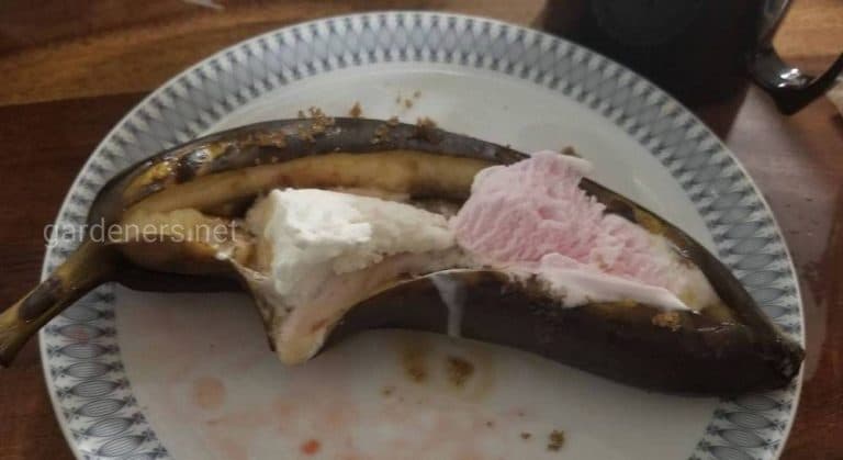 195155_1387.jpg 31082019 195155_1387.jpg