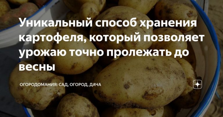 246023_19623.jpg 03092019 246023_19623.jpg