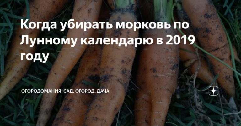 246893_4299.jpg 03092019 246893_4299.jpg