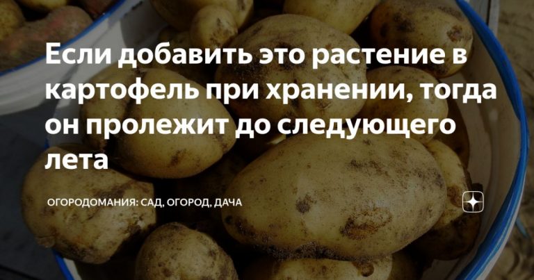 247163_89476.jpg 03092019 247163_89476.jpg