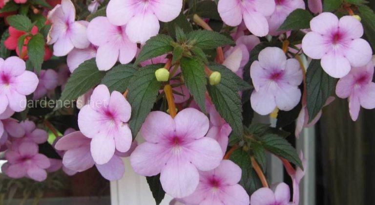 257961_8653.jpg 04092019 257961_8653.jpg