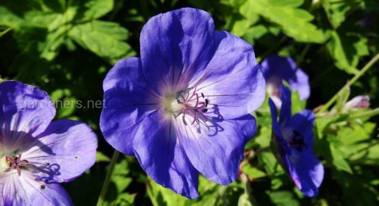 262185_2842.jpg 04092019 262185_2842.jpg