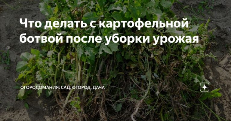 267871_45482.jpg 05092019 267871_45482.jpg