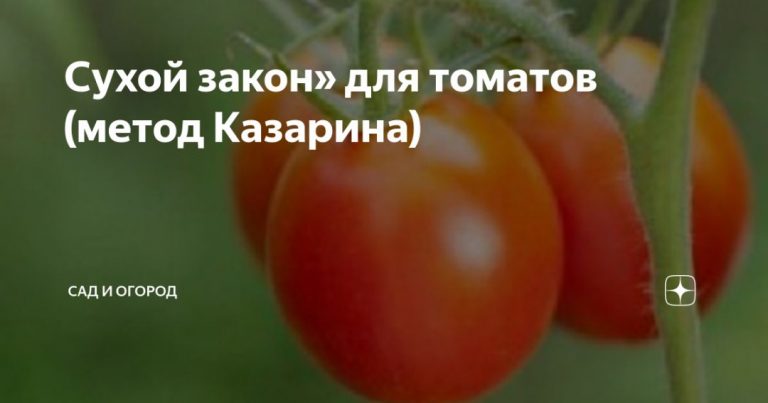 269129_62752.jpg 05092019 269129_62752.jpg