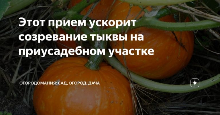 285615_79185.jpg 06092019 285615_79185.jpg