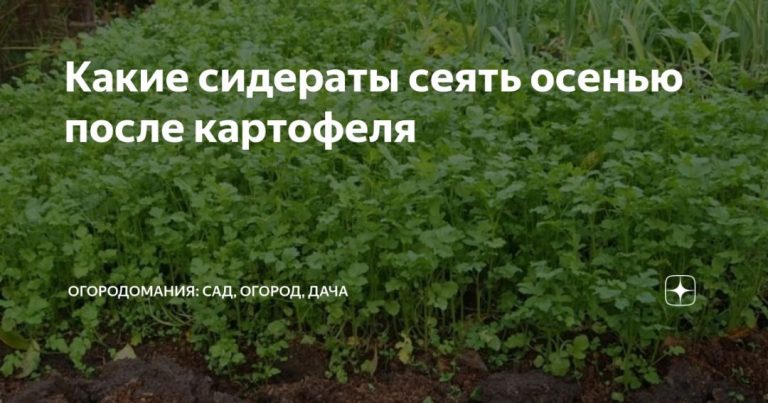 285965_14537.jpg 06092019 285965_14537.jpg