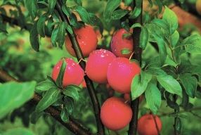 311564_16589.jpg 11092019 311564_16589.jpg