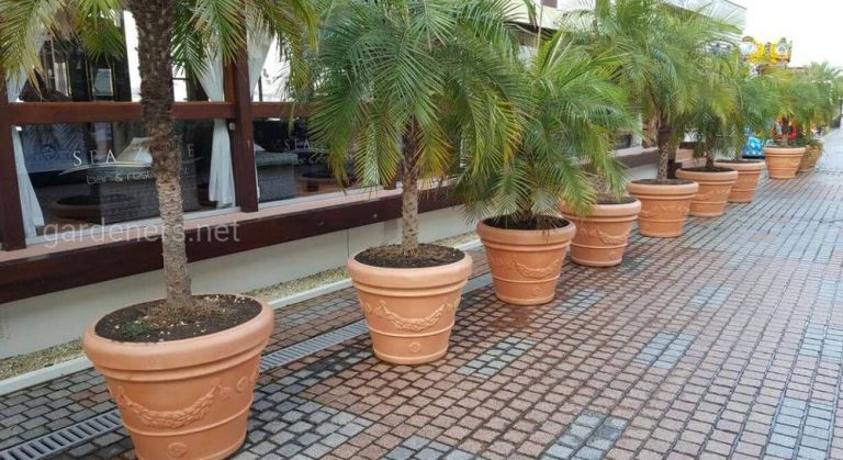 346602_60921.jpg 24102019 346602_60921.jpg