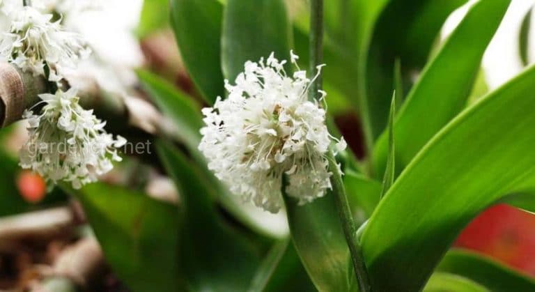 347675_56198.jpg 04122019 347675_56198.jpg