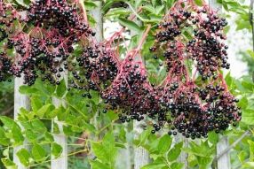 348076_48554.jpg 17122019 348076_48554.jpg