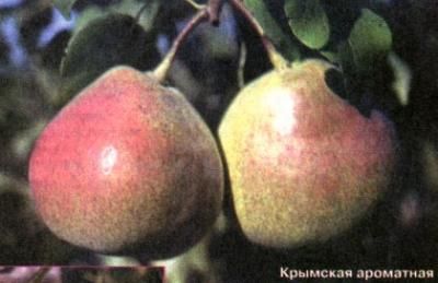 349315_14323.jpg 03012020 349315_14323.jpg