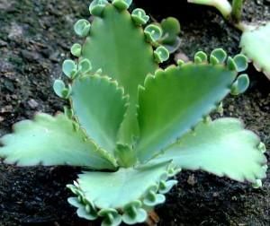 349641_31905.jpg 08012020 349641_31905.jpg