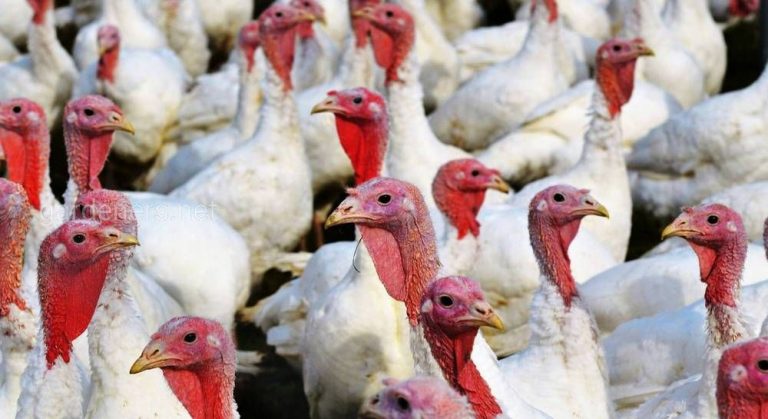 349661_8294.jpg 08012020 349661_8294.jpg