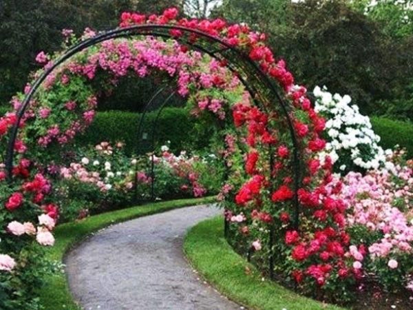 арка для цветов в саду