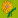 greeninfo.ru