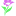 plant-growing.com